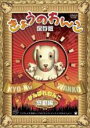 【バーゲンセール】【中古】DVD▼きょうのわんこ保存版 がんばれわんこ 感動編 レンタル落ち ケース無