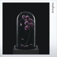 樂天商城 - 【中古】CD▼warbear レンタル落ち ケース無