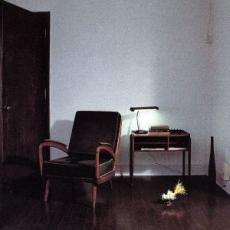 ����š�CD��LOVEBIRD ��󥿥���� ������̵