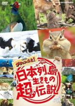 【中古】DVD▼日本列島生きもの超伝説 劇場版 ダーウィンが来た! レンタル落ち ケース無