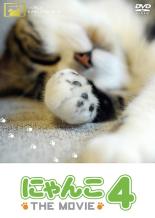 【中古】DVD▼【訳あり】にゃんこ THE MOVIE 4 ※ジャケットに難あり レンタル落ち ケース無