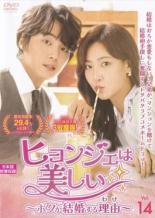 【中古】DVD▼ヒョンジェは美しい ボクが結婚する理由 わけ 14(第27話、第28話) レンタル落ち ケース無