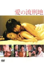 【中古】DVD▼【訳あり】愛の流刑地 ※ジャケットに難あり レンタル落ち ケース無