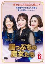 【中古】DVD▼崖っぷちの魔女たち 12(第34話〜第36話) 字幕のみ レンタル落ち ケース無
