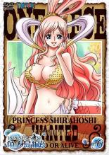 �ڥС����󥻡���ۡ���š�DVD��ONE PIECE ���ԡ��� 15TH�������� �������� R-6(��537�á���540�� ) ��󥿥���� ������̵