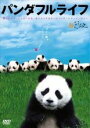 【中古】DVD▼パンダフルライフ レンタル落ち ケース無
