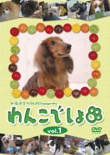 &nbsp;出　演&nbsp;ナレーション：みずのゆき&nbsp;制作年、時間&nbsp;2007年&nbsp;65分&nbsp;製作国&nbsp;日本&nbsp;メーカー等&nbsp;ポニーキャニオン&nbsp;ジャンル&nbsp;趣味、実用／子供向け、教育／動物&nbsp;カテゴリー&nbsp;DVD&nbsp;入荷日&nbsp;【2020-05-01】【あらすじ】北海道文化放送の人気番組「わんこでしょ」のDVD化！フジテレビ「めざましテレビ」内の「きょうのわんこ」と同様に、一般視聴者から自慢の飼い犬を公募、飼い主とのエピソードなどを交えて紹介。公募は北海道内限定で、北の大地に暮らす可愛いわんこ達が登場する。ナレーションは北海道文化放送のアナウンサー、水野悠希が担当している。
