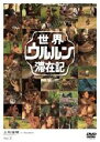 【中古】DVD▼世界ウルルン滞在記 2 上地雄輔 レンタル落ち ケース無
