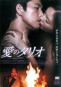 【中古】DVD▼愛のタリオ レンタル落ち ケース無