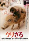 【バーゲンセール】【中古】DVD▼ウリざる 福知山市動物園 子ざるとウリ坊の友情物語 レンタル落ち ケース無