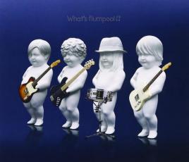 CD▼What’s flumpool !? レンタル落ち ケース無