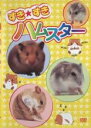 【バーゲンセール】【中古】DVD▼すき★すきハムスター レンタル落ち ケース無