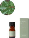 (生活の木)エッセンシャルオイルホーリーフ(芳樟) 3ml〜100mlグリーン調の爽やかさと、かすかな樟脳の香りを感じられる