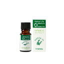 (生活の木)エッセンシャルオイル リンデンブロッサム 10ml Abs.(10%希釈)グリーンフローラルの香り