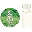 (生活の木)エッセンシャルオイルクラリセージ 3ml~100mlハーブ系のさわやかさに加え、やや甘いナッツのような香り