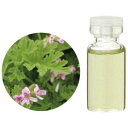 【生活の木】エッセンシャルオイルゼラニウム精油/Geranium 3ml~1000ml甘いミントベースにほのかなローズの香り