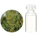 楽天ラララカフェ【生活の木】エッセンシャルオイルティートゥリー精油/Tea tree　3ml～100ml（2月末までポイント5倍セール中）