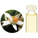 (生活の木)エッセンシャルオイルネロリ・チュニジア産(ビターオレンジ) 1ml