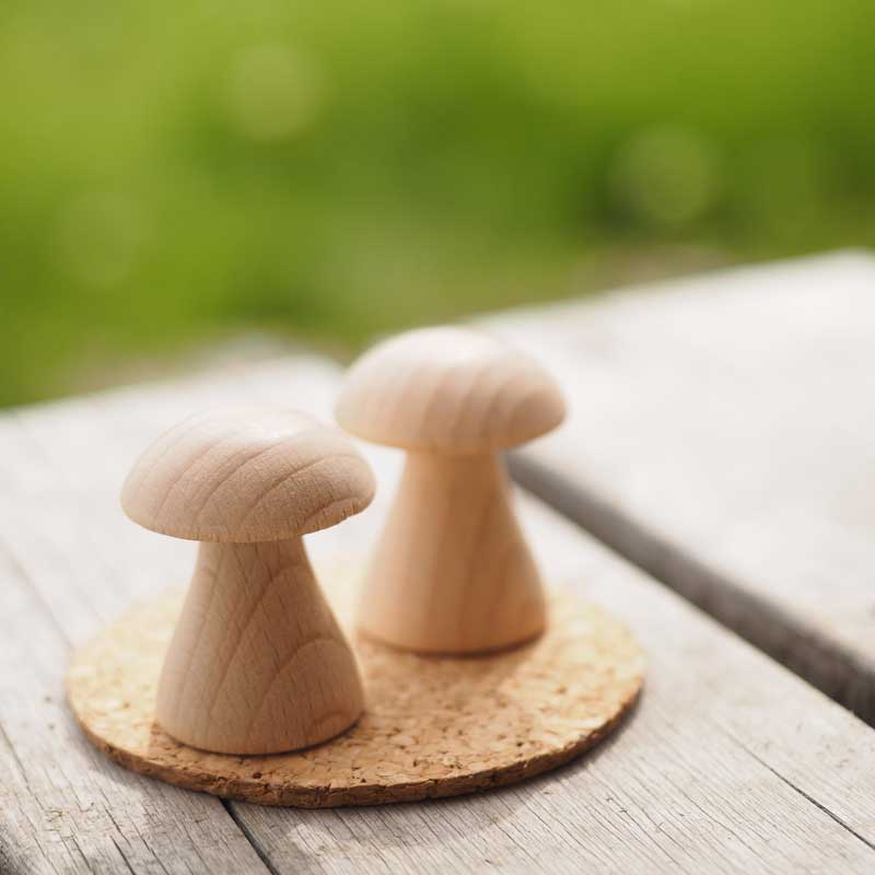 スッキーリ!Sukki-ri! コルク+スティック ピュリチャー 「大樹の下で」 リードディフューザー ハーバルウッディ調の香り 100ml