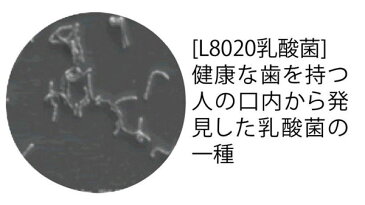 【キャッシュレス5％還元】クチュッペ L-8020 マウスウォッシュ ソフトミント (ノンアルコール) 500ml 介護用品 湿潤ジェル 歯ブラシ 口腔ケア 歯磨き 口臭 保湿用