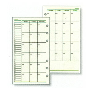 【レイメイ藤井】 ダ・ヴィンチ システム手帳 リフィル バイブル(聖書) フリーマンスリースケジュールA DR274