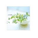 フエルアルバム Digio ライフシーン Lサイズ ブルー LPF-1001-B