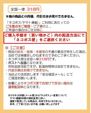 レイメイ ダヴィンチ システム手帳 リフィル A5サイズ 横罫ノート6.5mm罫 DAR295