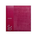 フエルアルバム Digio ピカルディー Lサイズ レッド アH-LG-500-R