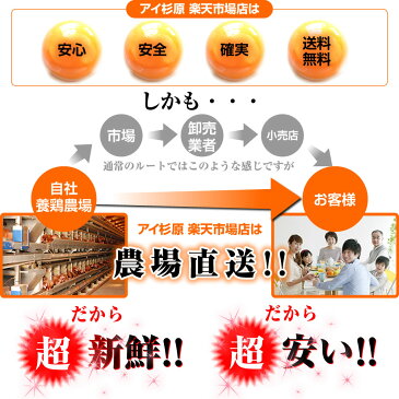 【ギフト専用】高嶺の温泉卵セット60個(生卵30個＋温泉卵30個)この卵、絶対ハマります！すでに10万セット以上販売！徳島県産！楽天ランキング6部門★第1位