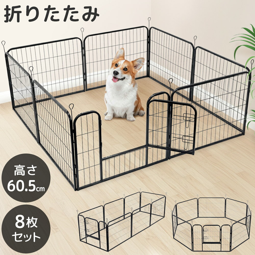 【 半額 & 10% 】4(木)17時～先着クー