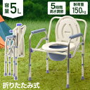 入浴用パックデラックス 一般タイプ A-1 1袋20枚【返品不可】