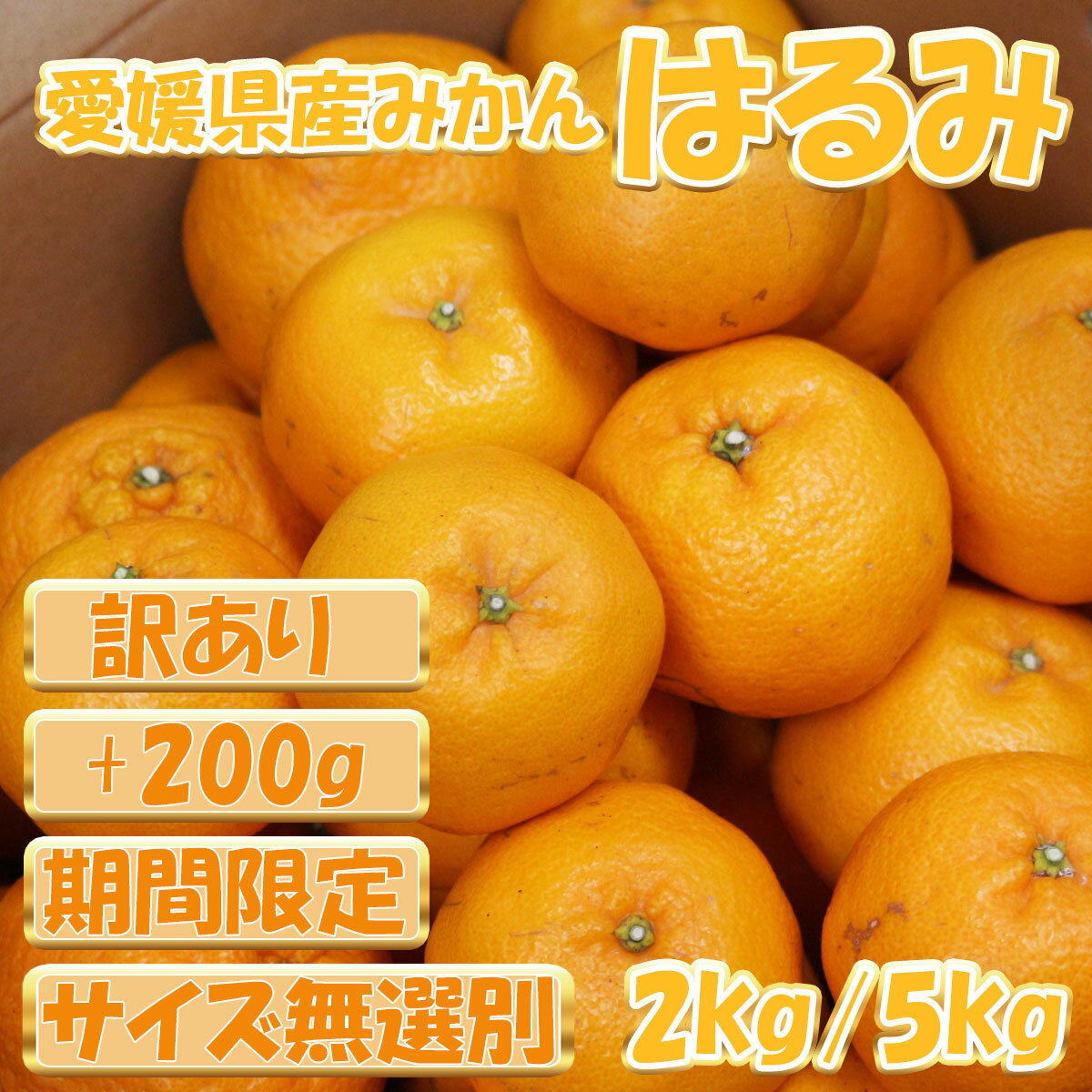 �ڴ��ָ���ۡ�������ۡ�����̵�����ܾ찦ɲ���� �Ϥ�� [2kg+200g] [5kg+200g] ��2026ǯ2��20������ȯ�����ϡ� [ �ߤ��� �ߥ��� ��...