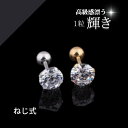 取れにくいピアス 1粒 CZ ダイヤ ピアス ねじ式 ネジ式 リバーシブル つけっぱなし アクセサリー ゴールド シルバー 3mm 4mm 人工石 1粒ダイヤピアス H&C シンプル スクリュー式 全4種 両耳用 2個 取れないピアス 1000円ぽっきり 送料無料 お買いまわり 1000(4)