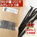 バニラビーンズ 【タヒチ種】 【5本】 【Aグレード】 バニラビーンズペースト バニラエッセンス バニラペースト バニラ 業務用 楽天 スーパーSALE お買い...