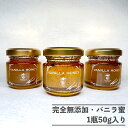 完全無添加・バニラ蜜（スタンドパック50g × 1つ） バニラシロップ シロップ バニラビーンズ バニラエッセンス バニラペースト バニラビーンズペースト バニラ 無添加 ギフト クリスマス 福袋