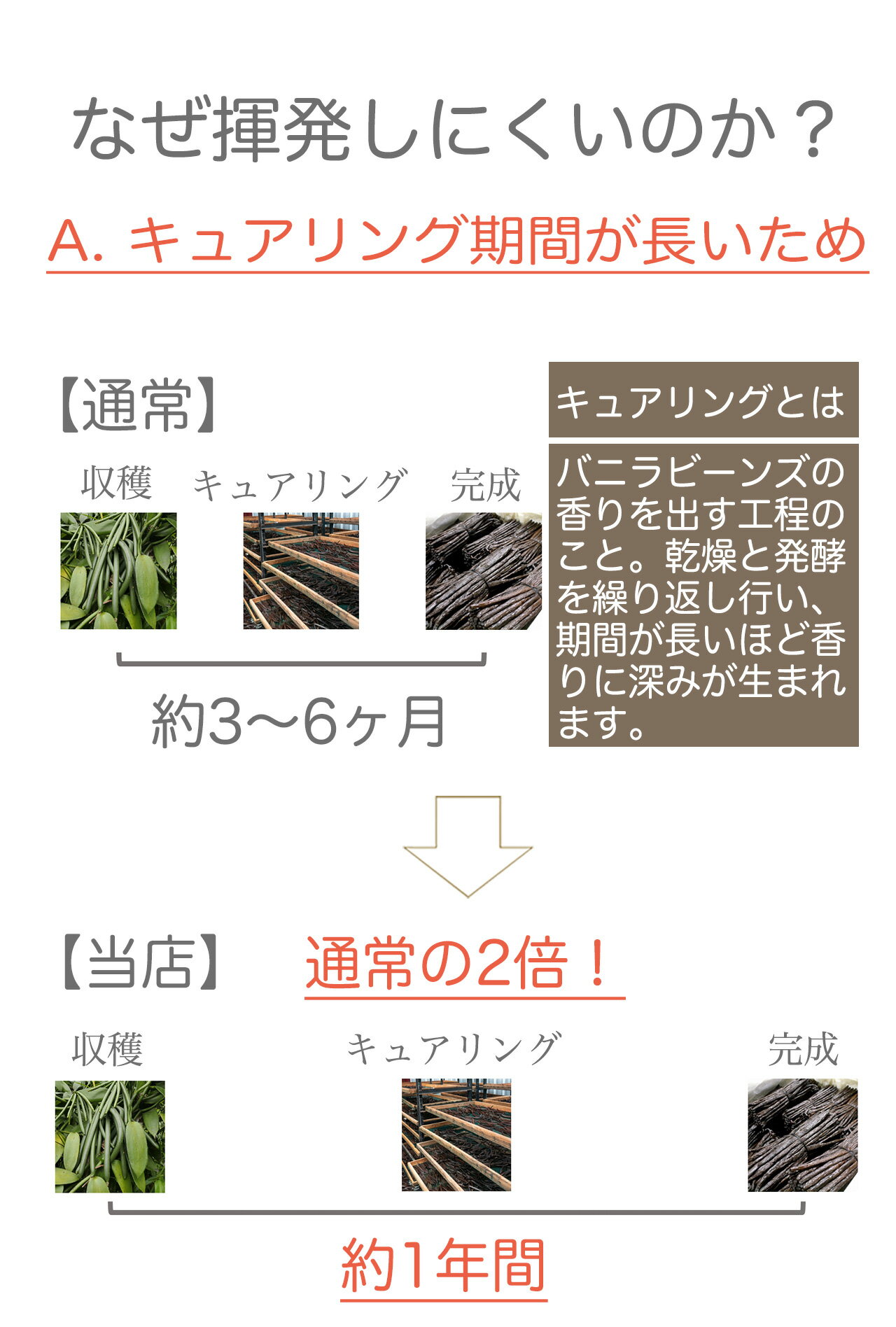 【ポイント2倍!7月17日まで!】【本数多いほど1本の価格がお得!】バニラビーンズ30本(Sグレード:15cm以上)/インドネシア産/バニラ/ビーンズ/製菓材料/バニラペースト/バニラエッセンス/バニラビーンズペースト/バニラピューレ/バニラシロップ