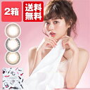 【メール便/送料無料】アイディクトワンデー 30枚入 2箱内...