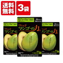亀山堂ブランド正規販売店 ワイルドマンゴーの力A 60粒 エラグ酸サプリメント アフリカマンゴノキ ブラックジンジャーでダイエットライフをサポート (3袋セット)