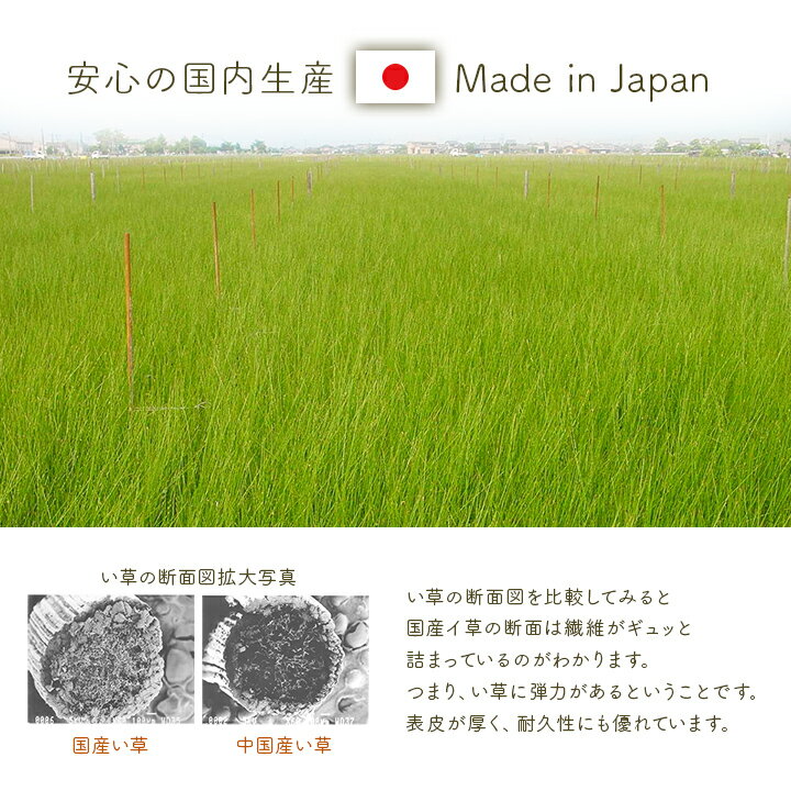 い草 マット ごろ寝 赤ちゃん お昼寝マット ベビー い草マット 日本製 ベビーマッ...