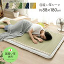 日本製 い草 シーツ シングル 寝ござ 国産 ねござ 熊本県八代産 「 リルマ 」 88×180cm 1枚単品 2枚セット いぐさ イ…