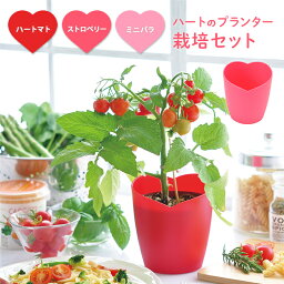 ギフト プレゼント 栽培キット 栽培セット 日本製 野菜 やさい 花 土セット 父の日 母の日 家庭菜園 ガーデニング バルコニー ベランダ 庭 ポット こども キッズ 食育 夏 自由研究