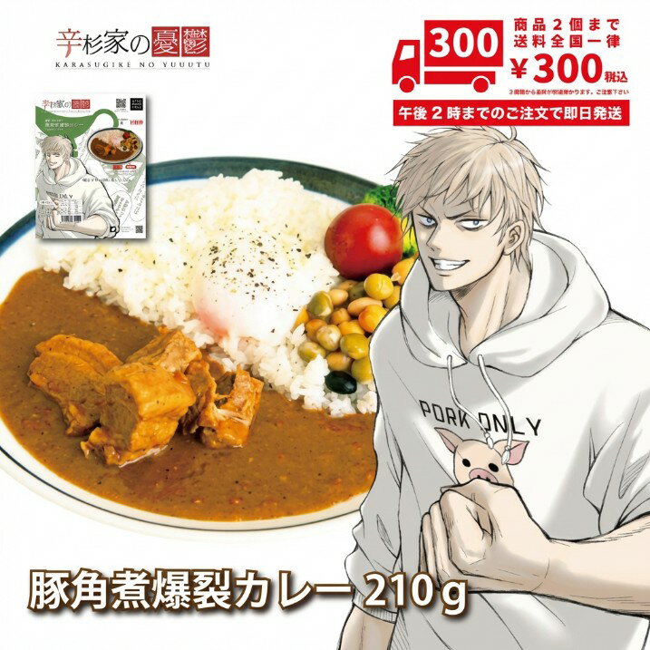 激辛カレー 辛杉家の憂鬱 辛杉シゲキ 豚角煮爆裂カレー レトルトカレー ハバネロ ブートジョロキア 【ご当地カレー】福島県産激辛唐辛子 会津ブランド館