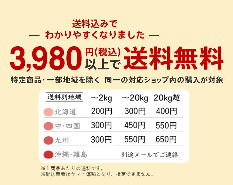 ＼生活応援セール／ 【30kg 玄米】令和7年産 会津のまじめな米（会津産 コシヒカリ一等米）石抜 色彩選別「送料無料（一部地域を除く）」「大容量　業務用」「福島県産」「産地直送」「ブランド米」