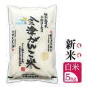 【新米販売期間限定セール価格!!】新米 令和7年産新米【5kg 白米】