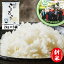 次回使える300円OFFクーポン付き 会津美里町産 コシヒカリ 10kg 楽天スーパーSALE10%OFF 2kg×5 こしひかり 新米 令和5年産 特A産地 レビュークーポン200円OFF 精米 白米 お米 米 送料無料 沖縄離島は別途送料 4,410円