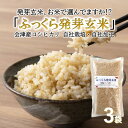 ポイント12倍 食べやすい発芽玄米 ふっくら発芽玄米 【レビューで200円クーポンプレゼント】 300g×3パック コシヒカリ お試し特価 無洗米 会津産 GABA ギャバ 白米モードで炊ける 送料無料 保存食 非常食 健康 お米の食味ランキングで特A 食物繊維 カルシウム