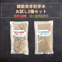 発芽&雑穀 白い発芽胚芽米 2合パック各1袋 お試し2種セット【レビューで200円クーポンプレゼント】300g×2 コシヒカリ お試し特価 会津産 100% 送...