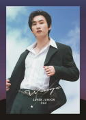 ڥꥳŹ۽ ˥祯 ver.[]եȥ֥åꥢ륳ARȢSUPER JUNIOR-D&ECDWings20/11/25ȯڳڥ_