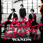 【オリコン加盟店】通常盤[初回生産/取]★シリアルナンバー封入■WANDS　CD【BURN THE SECRET】20/10/28発売【楽ギフ_包装選択】