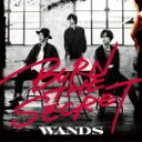 【オリコン加盟店】通常盤 初回生産/取 ★シリアルナンバー封入■WANDS CD【BURN THE SECRET】20/10/28発売【楽ギフ_包装選択】